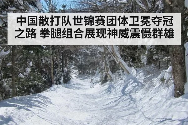 中国散打队世锦赛团体卫冕夺冠之路 拳腿组合展现神威震慑群雄